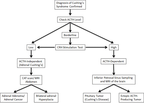 Cushings Syndrome - Biochemical Screening + Diagnosis