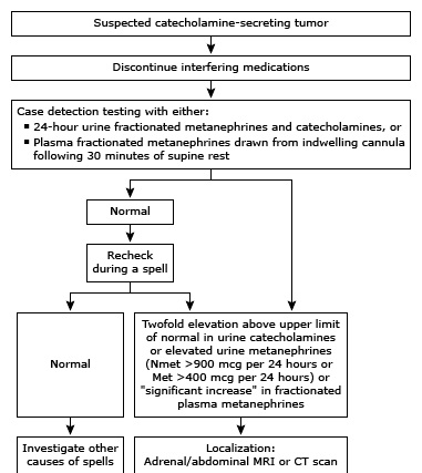 Pheochromocytoma Biochemical Diagnosis