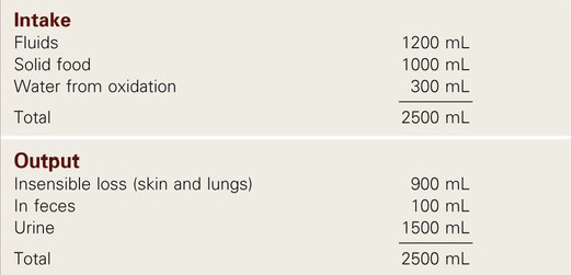 Water Intake and Loss