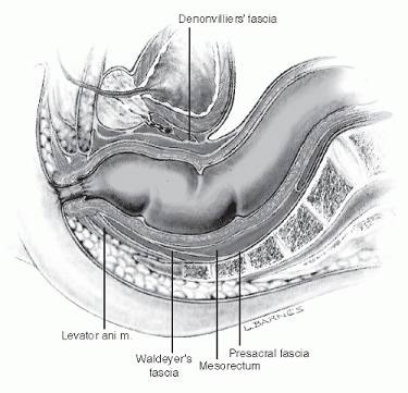 Denonvilliers' Fascia