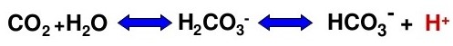 Acid-Base Equation