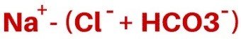 Anion Gap Equation