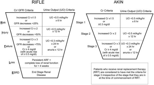 Acute Kidney Injury Staging Systems - RIFLE and AKIN