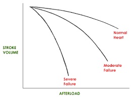 Cardiac Afterload Curve