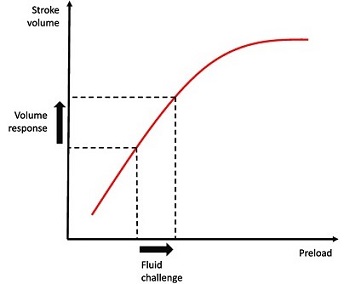 Starling Preload Curve