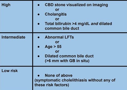 Preoperative Risk for a CBD Stone