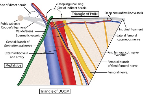 Quadrangle of Doom and Pain