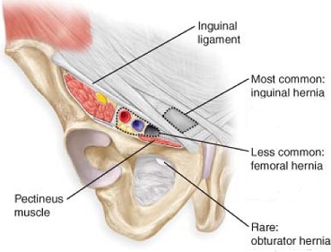 Obturator Canal