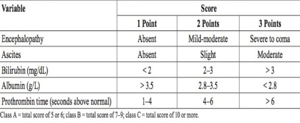 Child-Pugh Classification