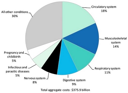 Pie Chart