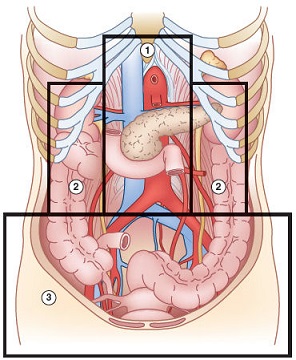 Zone of the Retroperitoneum