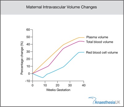 Intravascular Volume Changes During Pregnancy