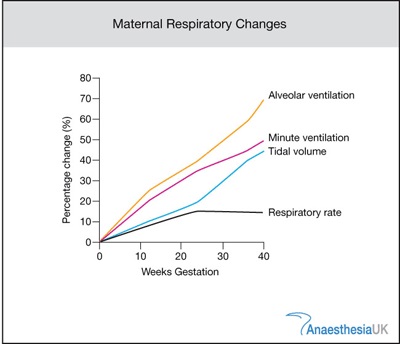 Respiratory System Changes During Pregnancy